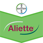 Export Aliette 80WG 400gr