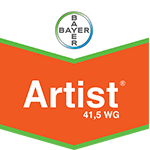 Export Artist 41.5WG 1Kg
