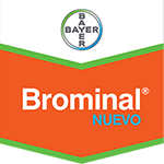 Export brominal