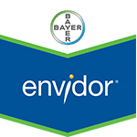 Export Envidor 240SC 400cc