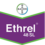 Export Ethrel 48SL 1L