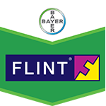 Export Flint 50WG 62.5gr