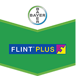 Export Flint Plus 64WG 1.5Kg