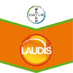 Laudis 66OD 1L