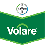 Export Volare 687.5SC 300cc