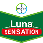 Luna Sensetation SC 400cc