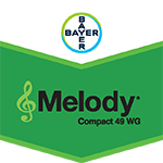 Melody Compact WG 1kg