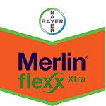 Merlin Flexx Xtra 250cc