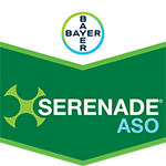 Serenade ASO 1L