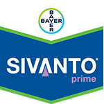 Sivanto Prime 200SL 150cc