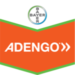 Adengo SC 250cc
