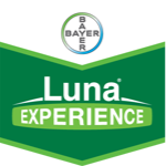 Luna Experience 400SC 200cc