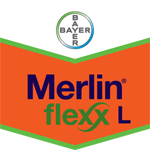 Merlin Flexx L 2L