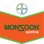 Monsoon Active OD 1L