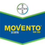 Movento 150OD 250cc