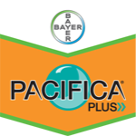 Pacifica Plus 3Kg