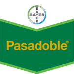 Pasadoble 70WG 1Kg